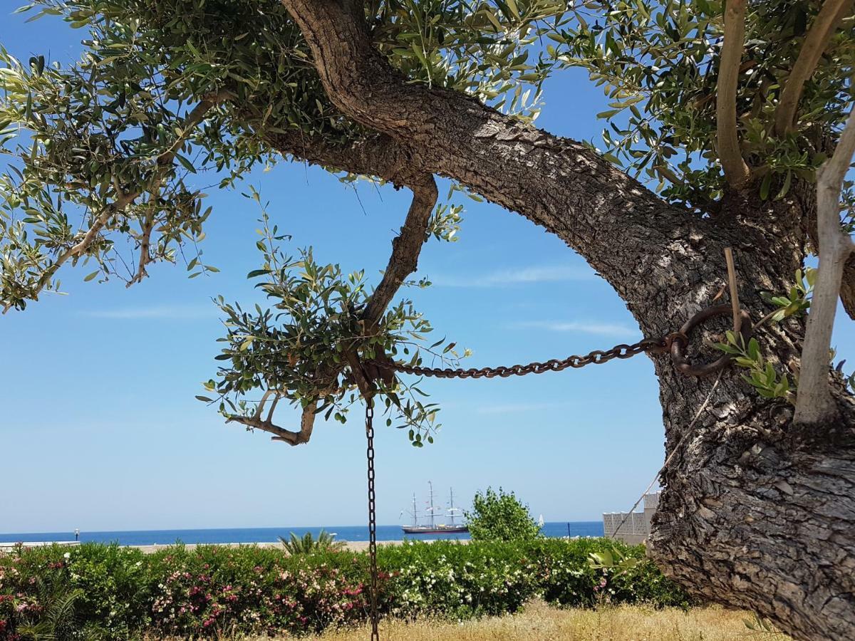 Bed & Breakfast Del Faro Giovinazzo Kültér fotó